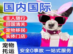 重庆梁平机场快递国际宠物托运 【国